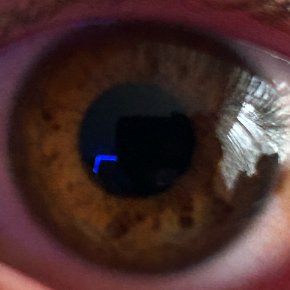 Meet your Posher, Sidi